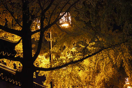 The street lights on Daoqian Street are very Suzhou styleの写真素材