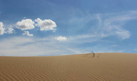 desert day time sceneryの写真素材