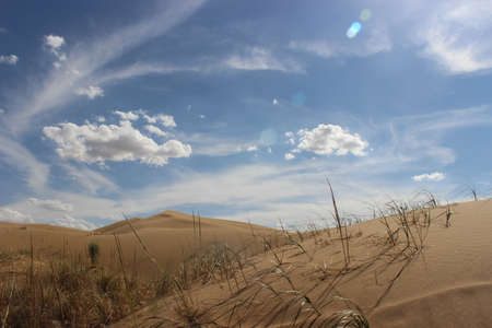 desertの写真素材