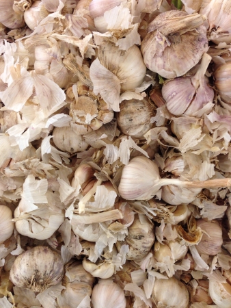 Garlic in traditional market skin crushedの素材