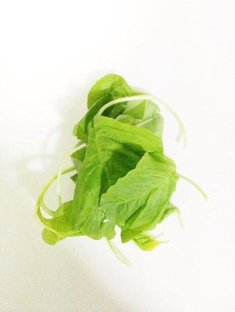 Spinach at its bestの素材