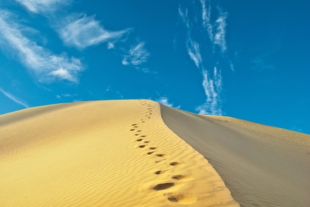 sand desert 
