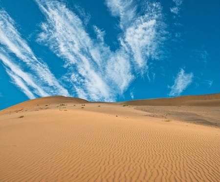 sand desert の写真素材