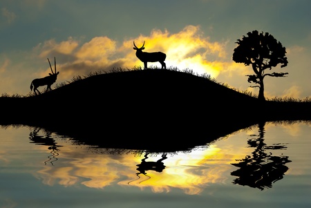 Safari in Africa. Silhouette of wild animals reflection in water. の写真素材