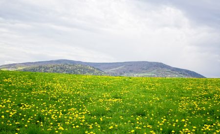 Fieldの写真素材