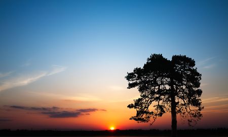 Hot Sunsetの写真素材