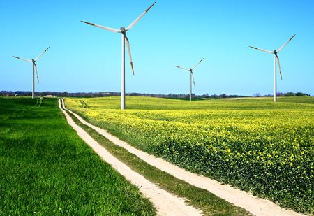 Field of summer and windmills