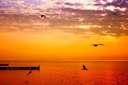 Golden sunset over seaの写真素材