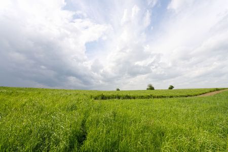 Green grass and cloudy sky