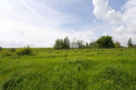 Green nature