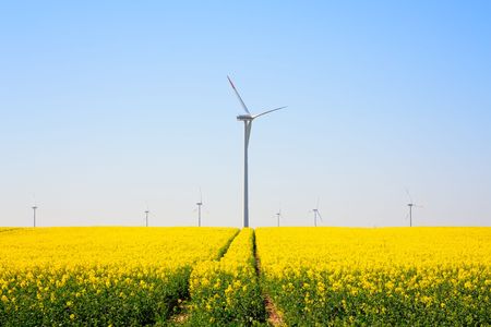 Summer landscapeの写真素材