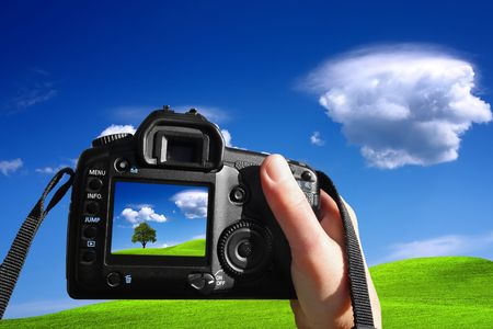 natureの写真素材