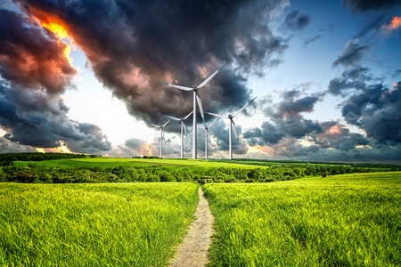 Power in natureの写真素材