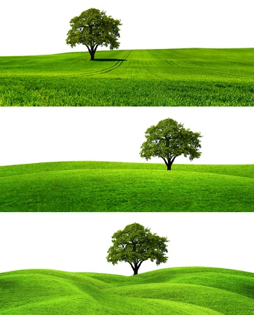 Green seasonの写真素材