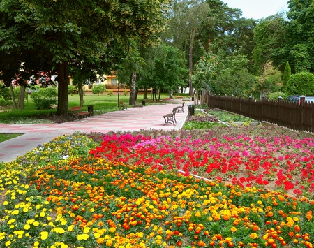 Park alleyの写真素材