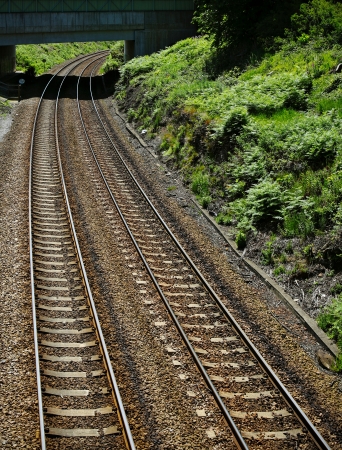 Trackwayの写真素材