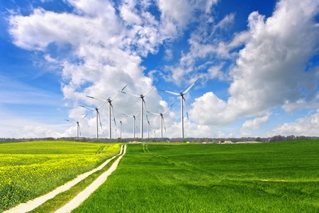 Eco landscape