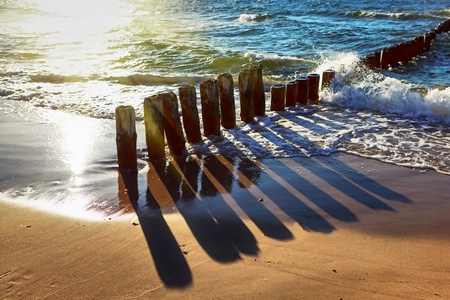 Seacoast in sunset