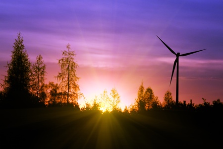 Sunrise over the forestの写真素材