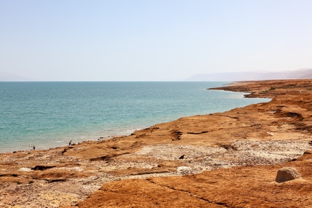 Dead Sea, Israelの写真素材