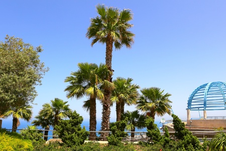 Mediterranean coast of the Middle Eastの写真素材