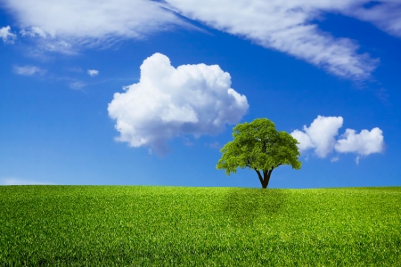Beautiful green natureの写真素材