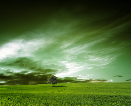 Green Worldの写真素材