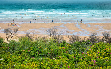 Blooming rose flowers and ocean beach