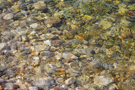 Transparent clear sea with stones natural backgroundの写真素材