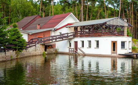Old house in a pine forest by the lakeの写真素材