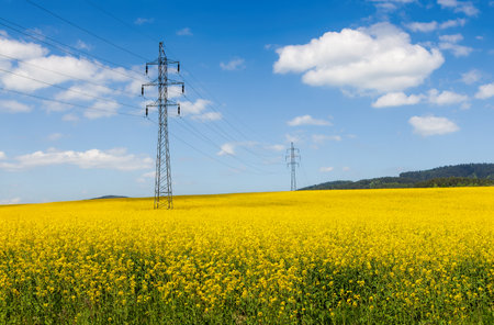High voltage poles supply electricity to areas outside the cityの写真素材