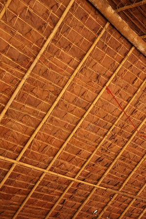 Roof from leaf - Dipterocarpus tuberculatus Roxbの写真素材