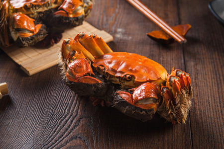 hairy crabsの写真素材