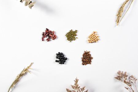 Five type of grain on white backgroundの写真素材