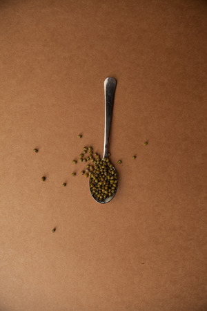 Spoon and mung beanの写真素材