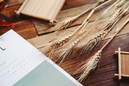 Creative autumn tabletop placementのeditorial素材