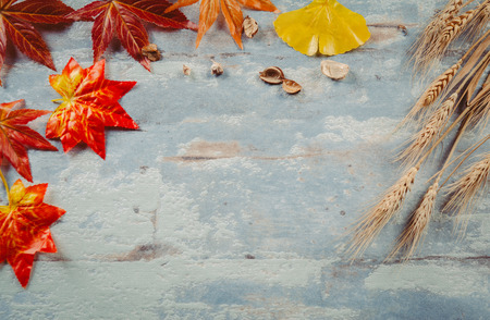 Creative autumn tabletop placementの写真素材