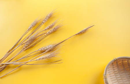 harvest of wheat in autumnの写真素材
