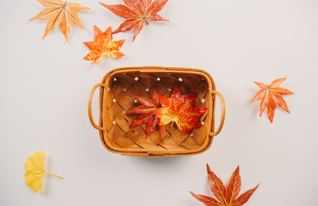 Creative autumn tabletop placementの写真素材