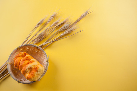 yellow background with autumn wheatの写真素材
