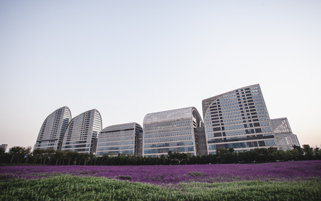 The G20 Summit meeting buildingsのeditorial素材