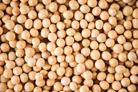 Soybean soybean