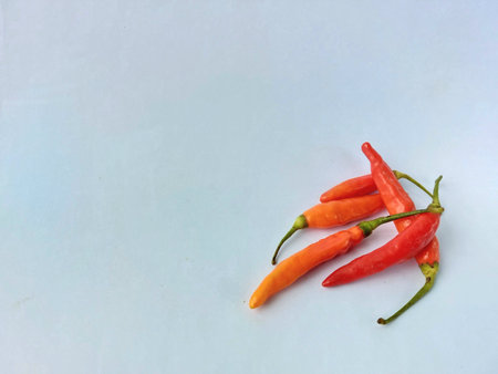 chili pepper on white background with copy space for add text.の写真素材