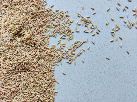 Raw brown rice on a blue background. Close-up. Top view.の写真素材