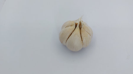 Garlic isolated on white background. Garlic on white background.の写真素材
