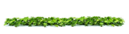 Christmas border arranged with fresh green fir branches on white background. Christmas, winter, new year garland. Copy space.の写真素材