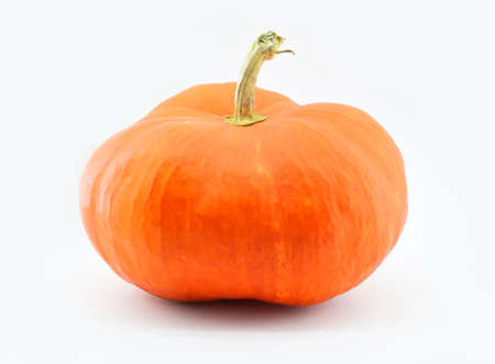 Bright orange pumpkin isolated on white background. Harvest.の写真素材
