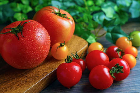 Fresh tomatoes isolated on wooden background