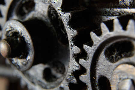 Gear and gearing apparatus