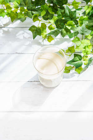 Cold milk in glass cupの写真素材